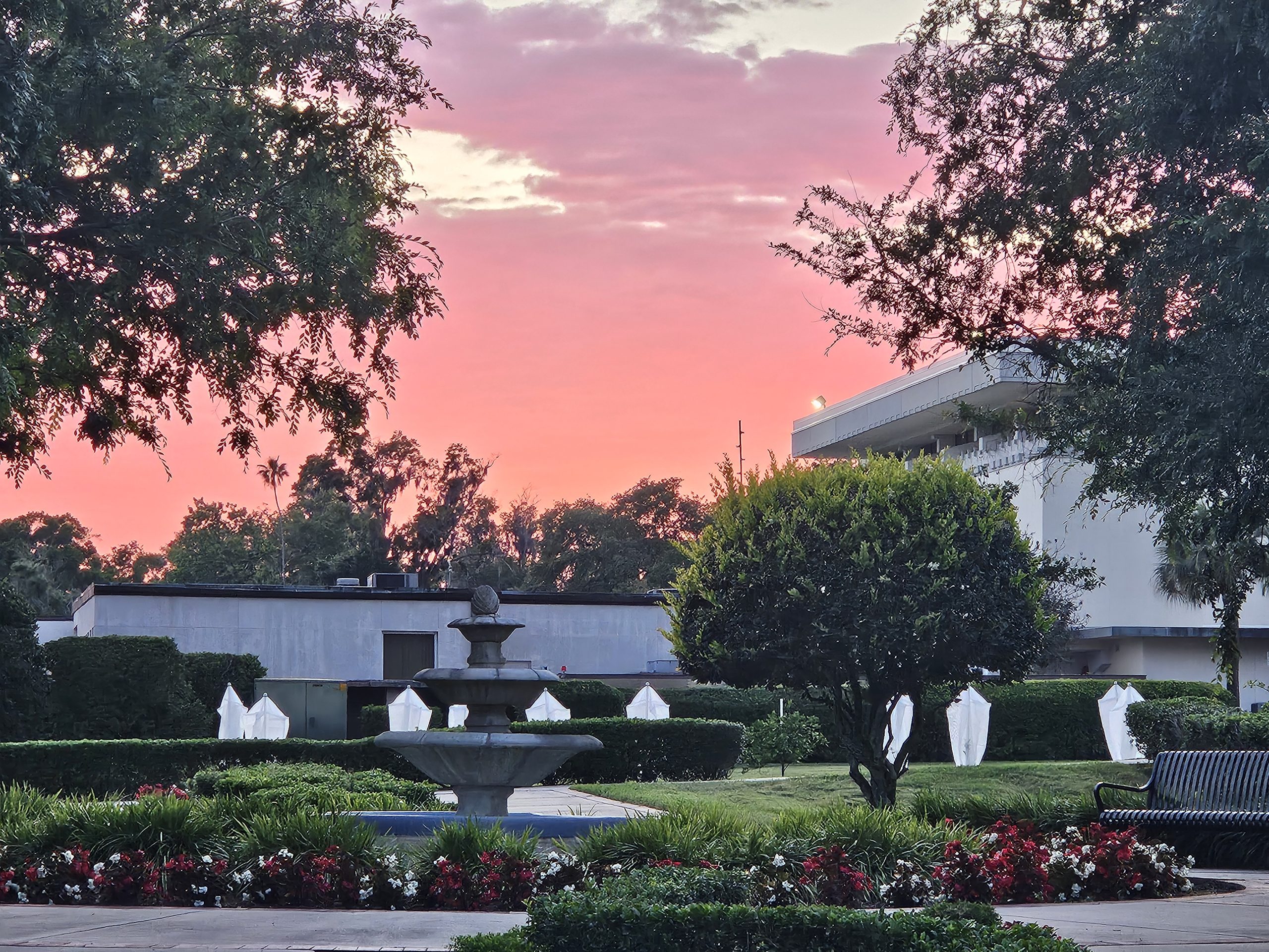 Reviving the Roots: FSC’s Century-Old Citrus Legacy Meets Tomorrow’s Agribusiness